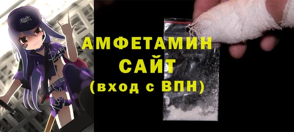 стаф Алзамай