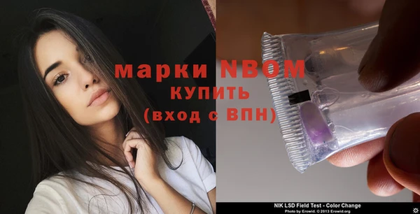 стаф Алзамай
