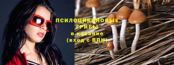 mdpv Алексин